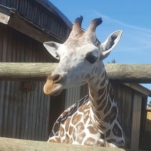 Meet your Posher, Deanna